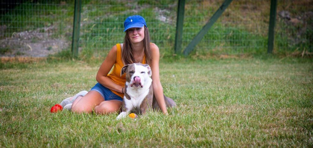 Luxury Dog Boarding Kennels Sheffield and Chesterfield