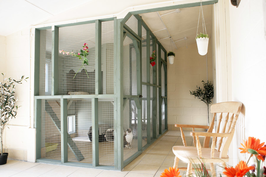 Cattery in Chesterfield